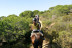 Ruta a Caballo (Villamanrique, Sevilla)