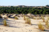 Ruta a Caballo (Villamanrique, Sevilla)