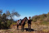 Paseo a Caballo (Icod de los Vinos, Tenerife)
