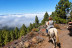 Paseo a Caballo (Icod de los Vinos, Tenerife)