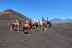Paseo a Caballo (Icod de los Vinos, Tenerife)