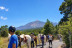 Paseo a Caballo (Icod de los Vinos, Tenerife)