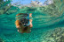 Paseo en Barca por Calas con Snorkel en la Cova del Llop Marí (Ametlla de Mar, Tarragona)