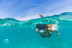 Paseo en Barca por Calas con Snorkel en la Cova del Llop Marí (Ametlla de Mar, Tarragona)