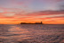 Paseo en Barco Privado para dos para ver la Puesta de Sol en la Bahía de Cádiz (Cádiz)