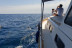 Paseo en Barco con Degustación de Tapas al Atardecer para dos (Estepona, Málaga)