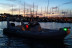 Paseo Romántico en Barco con Copa de Cava, Fotos y Vídeos para dos (La Caleta de Adeje, Tenerife)