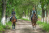 Paseo a Caballo (Andorra)