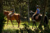 Paseo a Caballo (Andorra)