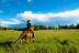 Paseo a Caballo (Andorra)