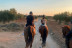 Paseo a Caballo y Visita a Bodega Vinícola de Arganda con Degustación de Vinos y Maridaje para dos (Madrid)