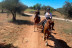 Paseo a Caballo y Visita a Bodega Vinícola de Arganda con Degustación de Vinos y Maridaje para dos (Madrid)