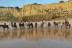 Paseo a Caballo por las playas de Doñana (Mazagón, Huelva)