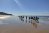 Paseo a Caballo por las playas de Doñana (Mazagón, Huelva)