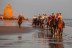 Paseo a Caballo al Atardecer por las playas de Doñana (Mazagón, Huelva)