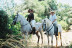Paseo a Caballo para dos por Pinares de Aznalcázar (Sevilla)
