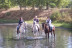 Paseo a Caballo para dos por Pinares de Aznalcázar (Sevilla)
