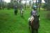 Paseo a Caballo para dos por Pinares de Aznalcázar (Sevilla)