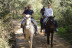 Paseo a Caballo para dos por Pinares de Aznalcázar (Sevilla)