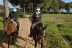 Paseo a Caballo (Sevilla)