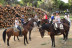 Paseo a Caballo (Sevilla)