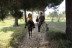 Paseo a Caballo (Sevilla)