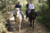 Paseo a Caballo (Sevilla)