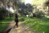 Paseo a Caballo (Sevilla)
