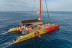 Paseo en Catamarán Freebird para Avistamiento de Ballenas y Delfines con Baño (Costa Adeje, Tenerife)