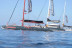 Paseo en Catamarán Freebird para Avistamiento de Ballenas y Delfines con Baño (Costa Adeje, Tenerife)