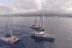 Paseo en Catamarán Freebird para Avistamiento de Ballenas y Delfines con Baño (Costa Adeje, Tenerife)