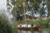 Paseo en Barca Guiado por la Albufera con Visita a Barraca (El Palmar, Valencia)