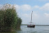 Paseo en Barca Guiado por la Albufera con Visita a Barraca (El Palmar, Valencia)