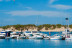Paseo en Barco para dos por el Parque Natural Bahía de Cádiz (Chiclana de la Frontera, Cádiz)