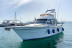 Paseo en Barco en Exclusiva con Avistamiento de Delfines para dos (La Línea de la Concepción, Cádiz)