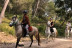 Excursión a Caballo y Brunch o Comida (Mallorca)