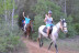 Excursión a Caballo y Brunch o Comida (Mallorca)