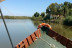Paseo en Barca Privada por la Albufera para dos (Valencia)