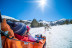 OFERTA Mushing: 2 Km en Paseo en Trineo tirado por Perros y Seguro (Andorra)