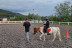 Paseo en Poni con Opción a Contacto para Niños en el Montseny (Barcelona)