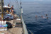 Paseo en Velero con Barra Libre de Bebidas (Estepona, Málaga)