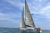 Paseo Privado en Velero para dos (Valencia)