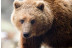 OFERTA: Entrada al Parque de Animales en Naturlandia (Andorra)