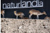 OFERTA: Entrada al Parque de Animales en Naturlandia (Andorra)