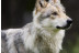 OFERTA: Entrada al Parque de Animales en Naturlandia (Andorra)