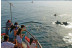 Paseo en Barco por el Puerto y la Bahía de Málaga (Málaga)