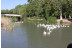 Paseo Turístico en Barco y Aventura Histórica (Aranjuez, Madrid)