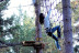 Circuitos en los Árboles: Entrada a Pedraforca ParcAventura (Barcelona)