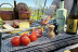 Picnic Gourmet y Cata de Vinos Entre Viñedos para dos en Clos de Basella (Siurana, Girona)