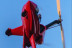 Especial Adrenalina: Piloto por un Día en Autogiro (Madrid)